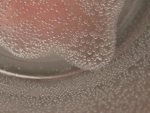 extra uitleg proefje gummibeer onder water