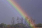 introductie proefje maak zelf een regenboog