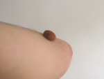leg de kruidnoot op je arm vlak bij je elleboog