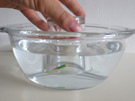 antwoorden proefje drijven onder water